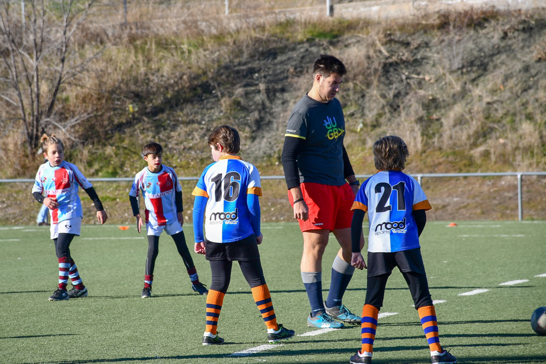 Neque adipiscing an cursus